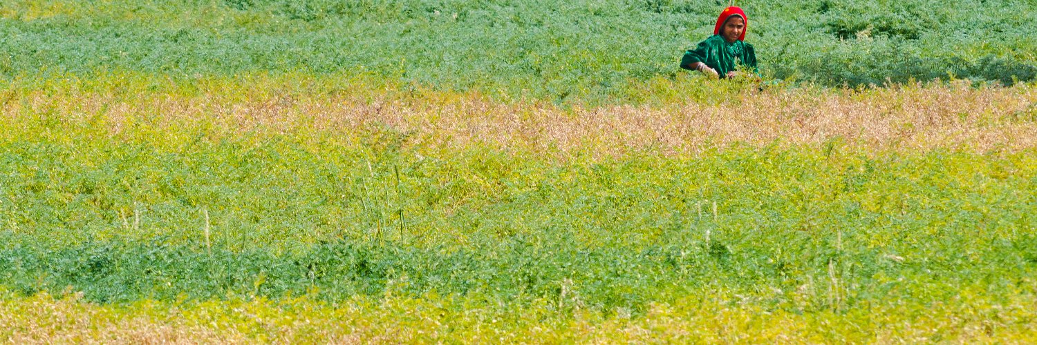 GravisIndia's profile banner image