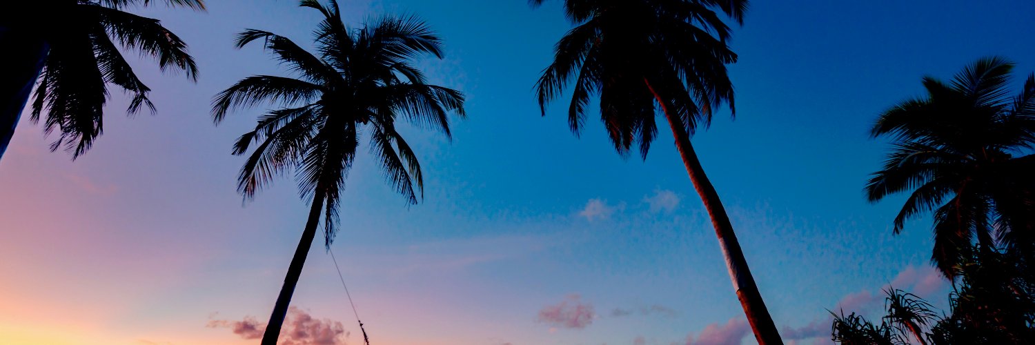 W_Tip ❤️ Memecoin banner