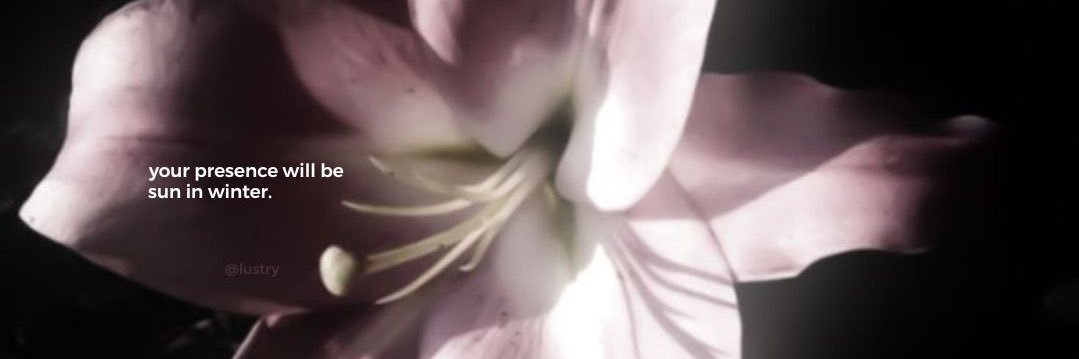 ⋆𐙚 ̊. 𝗺𝗶𝗺𝗮𝘆 banner