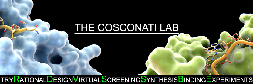 Sandro Cosconati banner