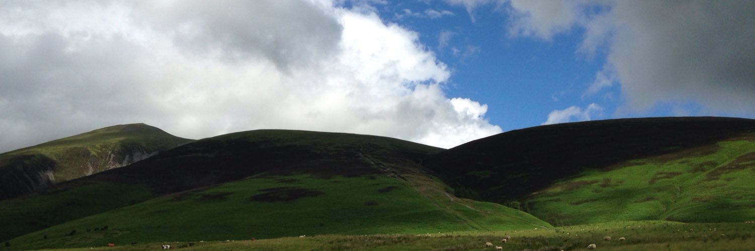 calmostyn's profile banner image