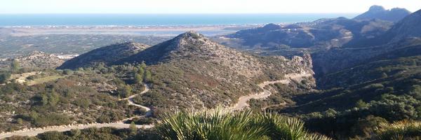 FerranQSSQ Profile Banner