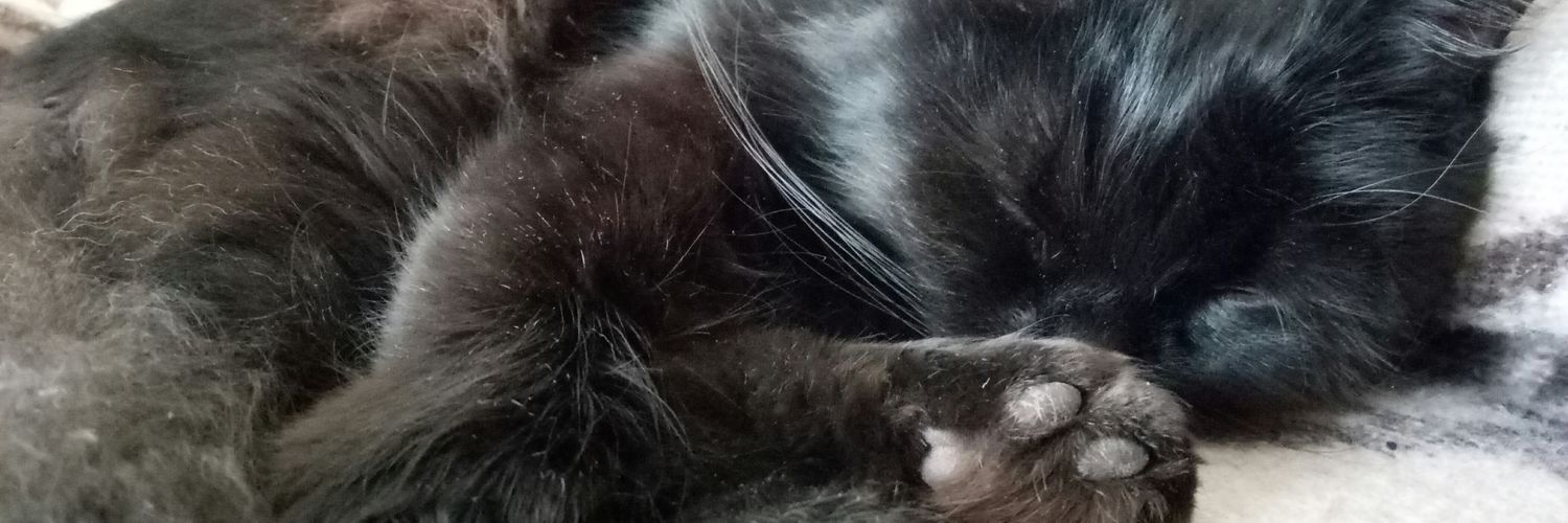 paranoid android banner