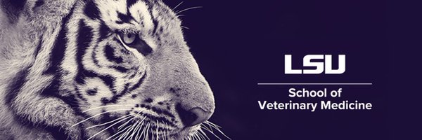 LSU Veterinary Med Profile Banner