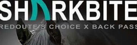 sharkbitevic's profile banner image