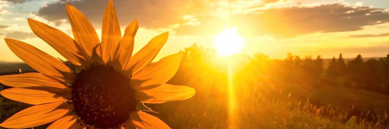 Kenmarie_2's profile banner image