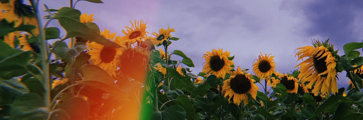 chloebarr22's profile banner image