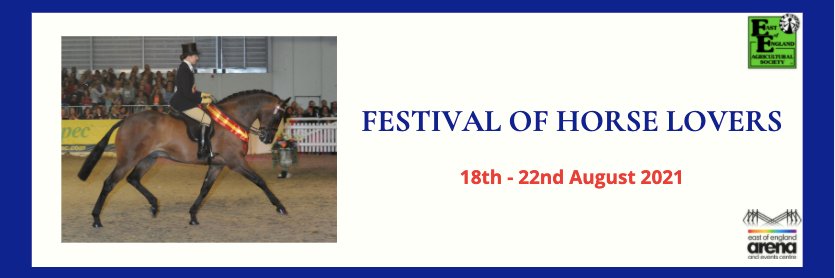 Equifest banner