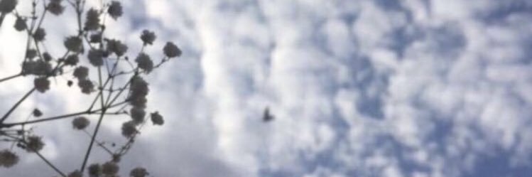 ioew11's profile banner image