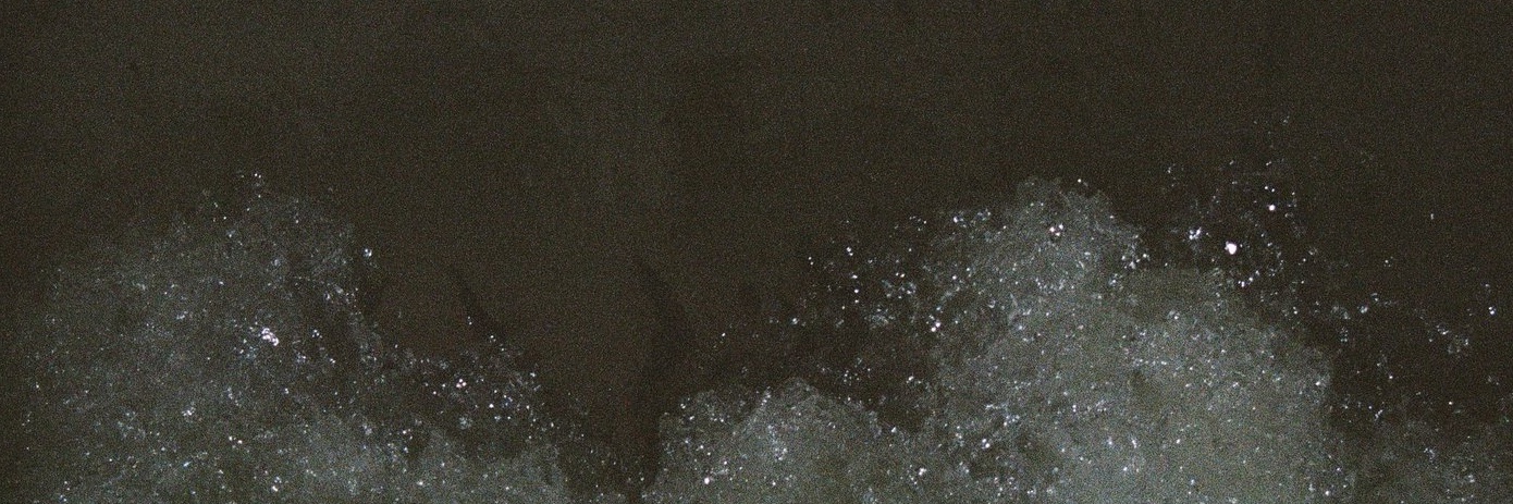🐘 banner