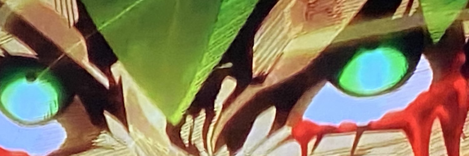 kroggerfrogger's profile banner image