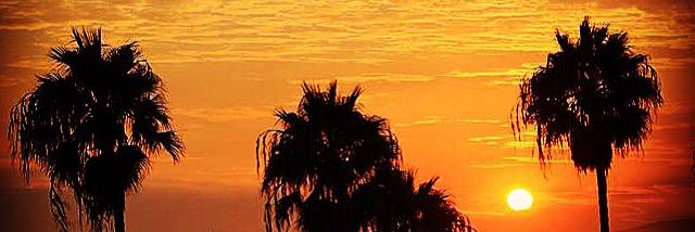 christer_aa's profile banner image