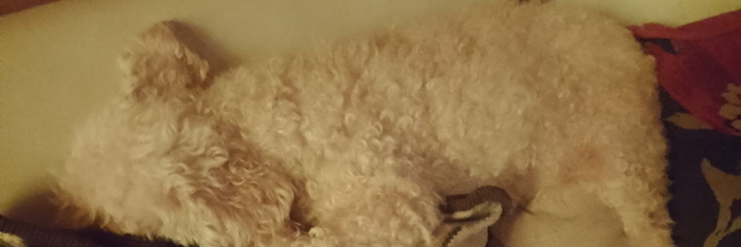 Joaco banner