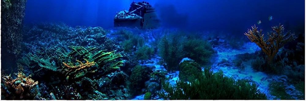 Sam (TheBone) banner