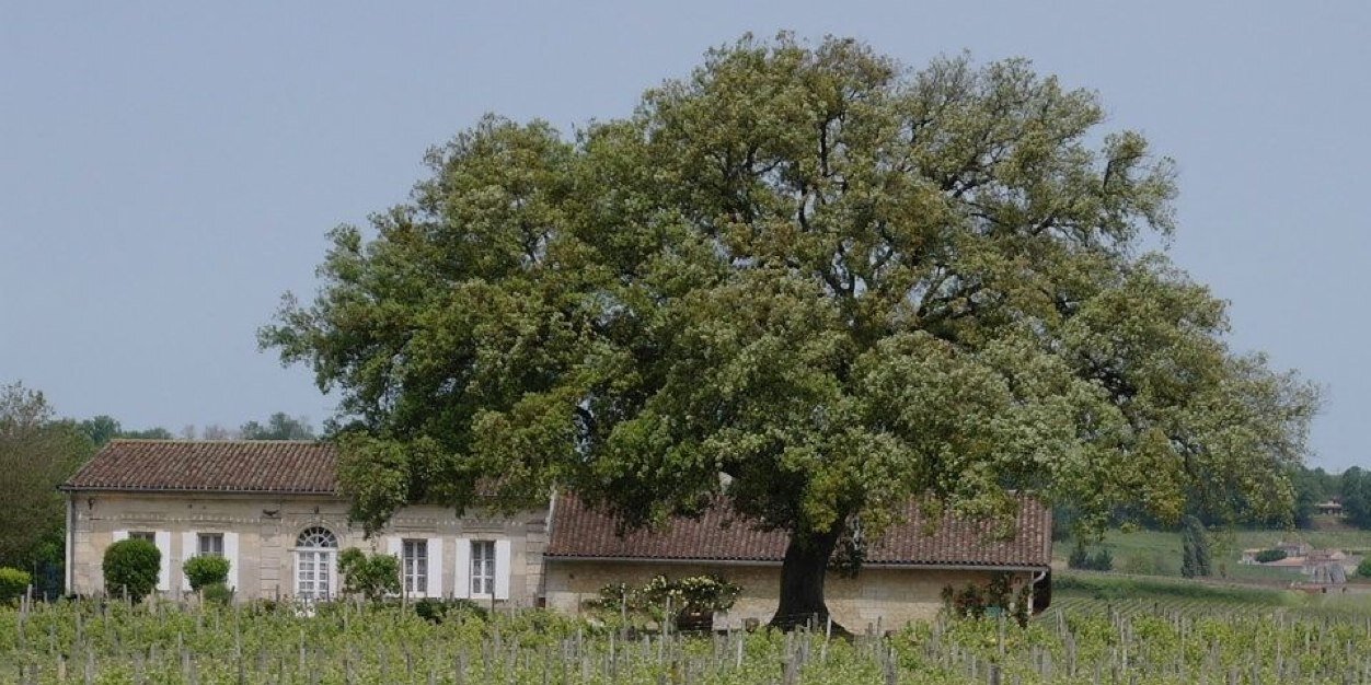 J-Francis Pécresse banner