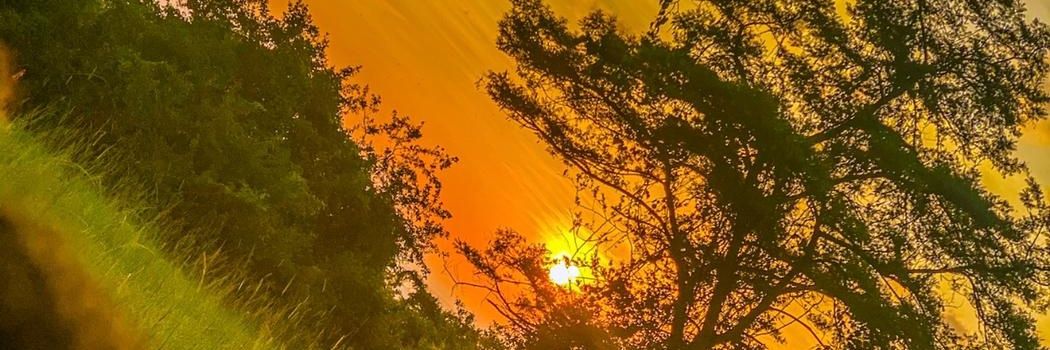 Maria T Nabulya banner