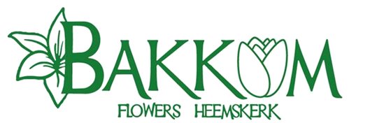 VOFBakkum's profile banner image