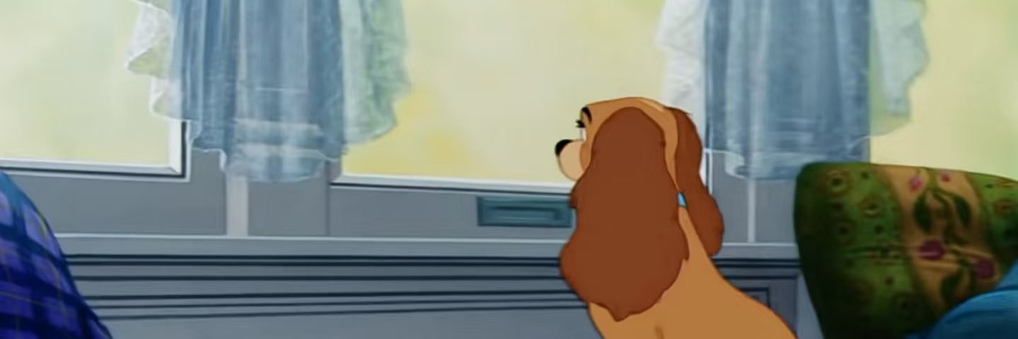 pnchhnn's profile banner image