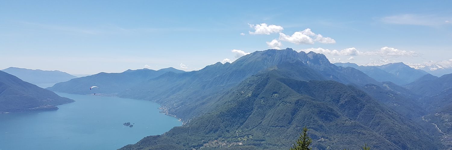 Carole Brooks 💙 banner