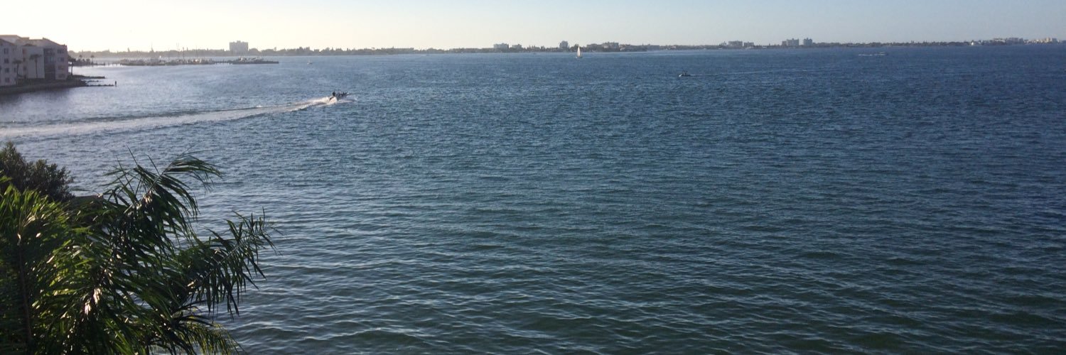 Malteinflorida's profile banner image