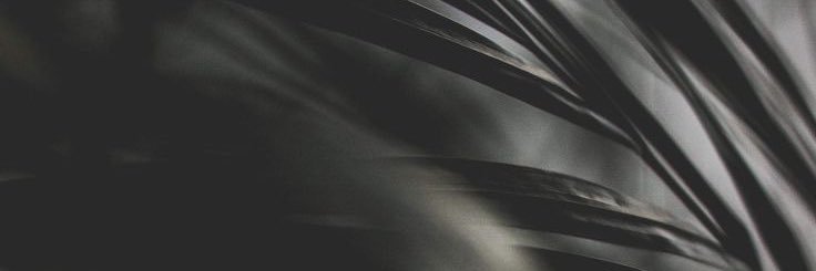 MaryaVC's profile banner image