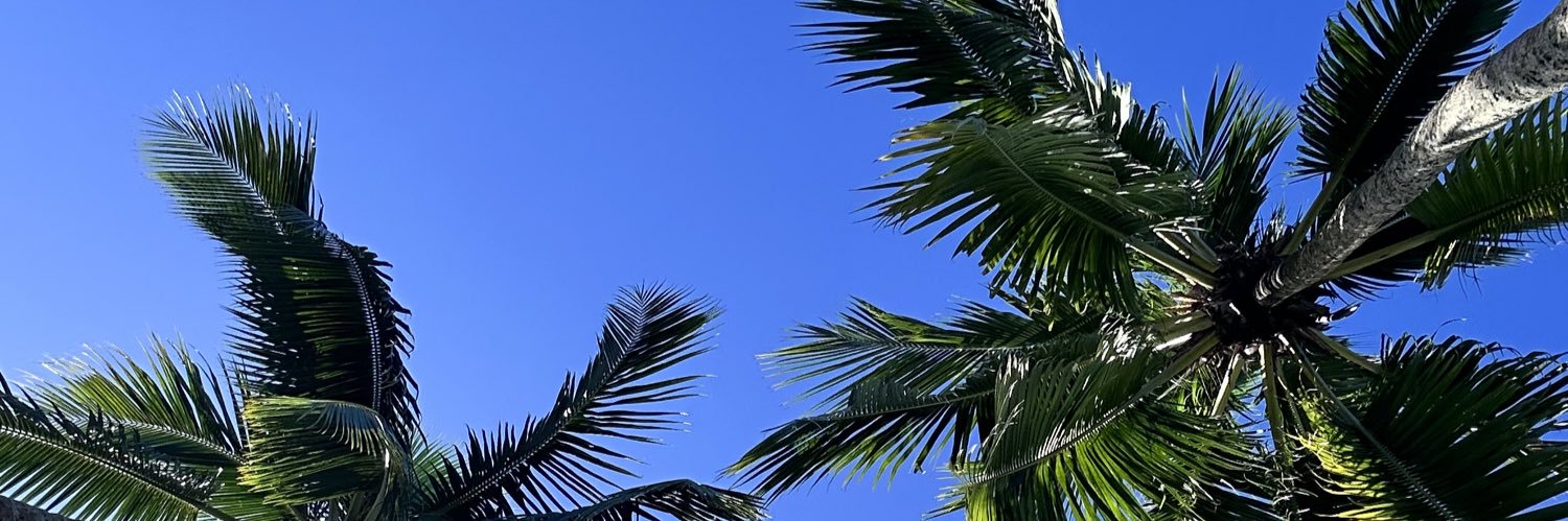 cayfiji's profile banner image