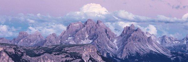 Jelliemia Profile Banner
