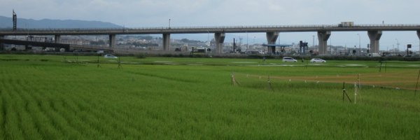 esasan06 Profile Banner