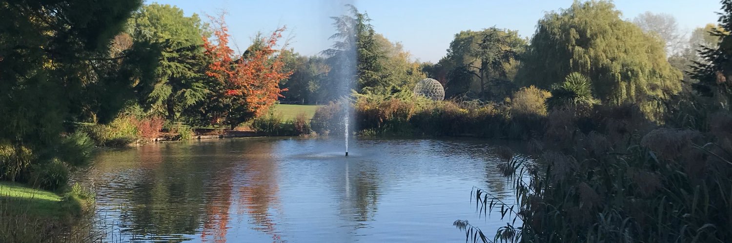 Dr Sarah Hack 💙 banner