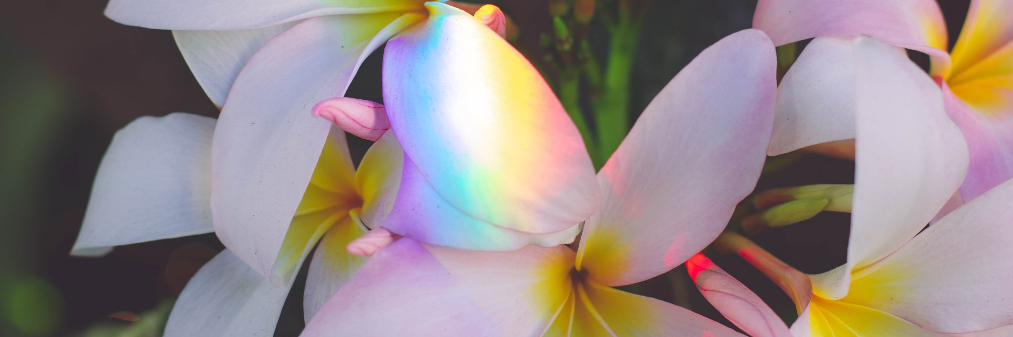 Ashley45521's profile banner image