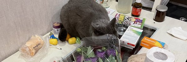 purr_pure Profile Banner