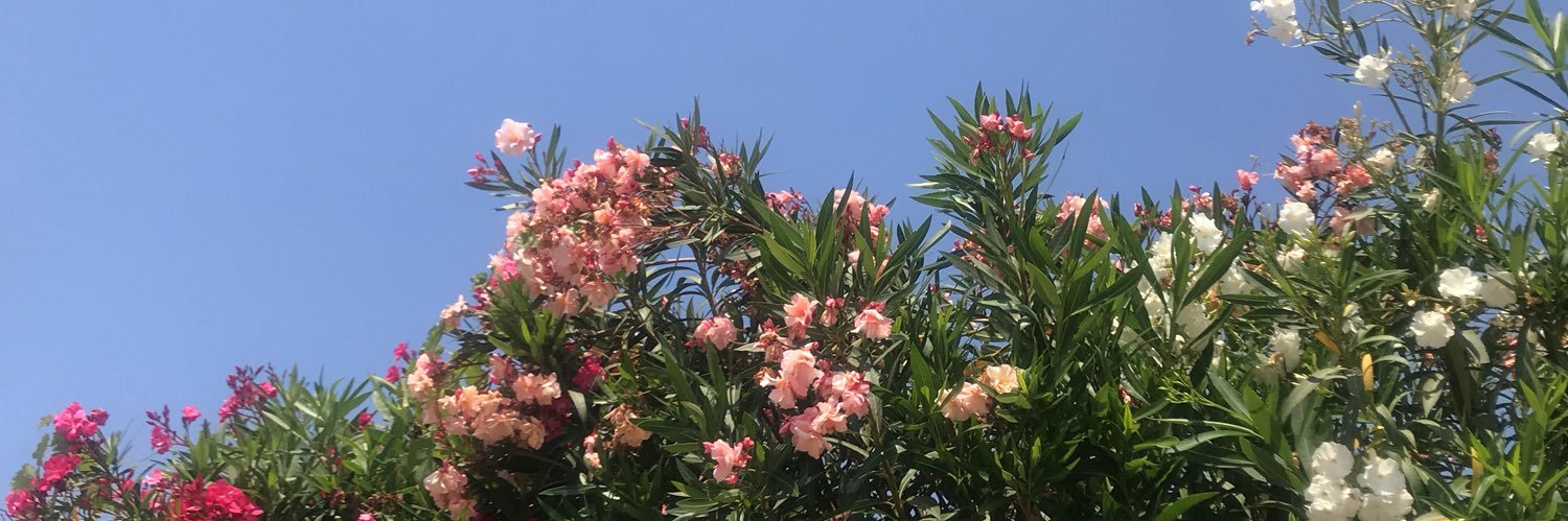 laureenashley's profile banner image
