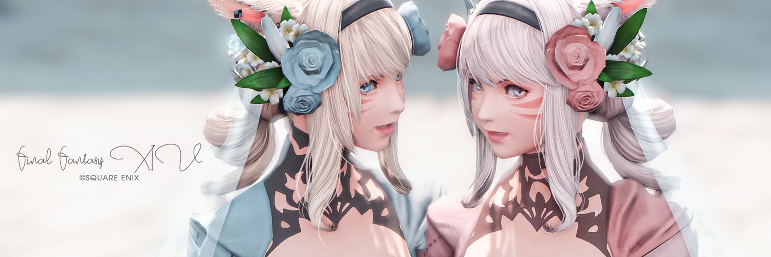 しのたゃ🐤 banner