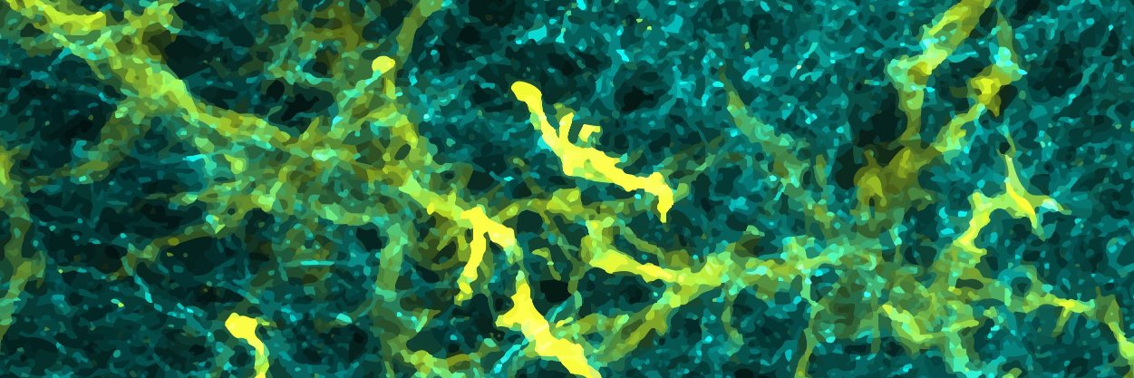vanHam_lab's profile banner image