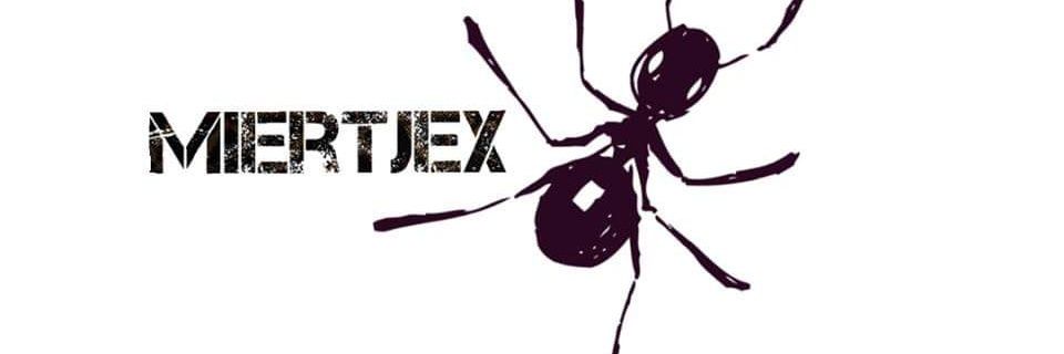 miertjex's profile banner image