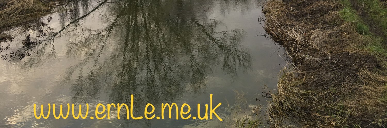 ERNLE banner