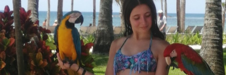 azul_cloe's profile banner image