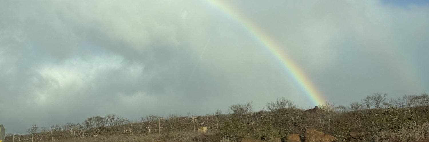 christyaconner's profile banner image