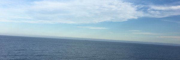 Xiaojing_Sui Profile Banner