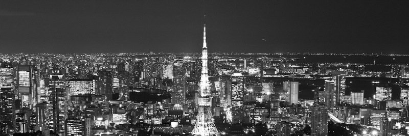 鳥のつぶやき banner