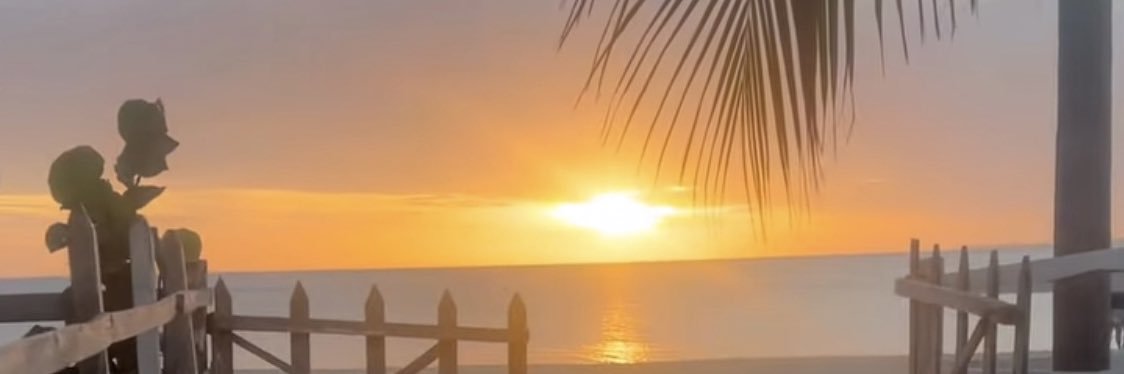 Ana_CeciliaSP's profile banner image