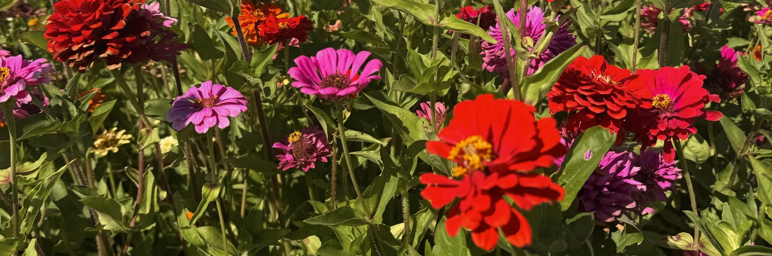 linseyalred's profile banner image