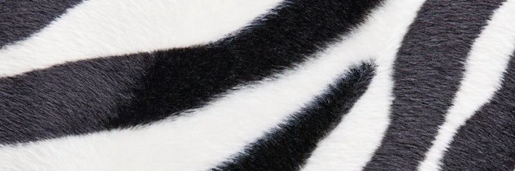 HughesElle's profile banner image
