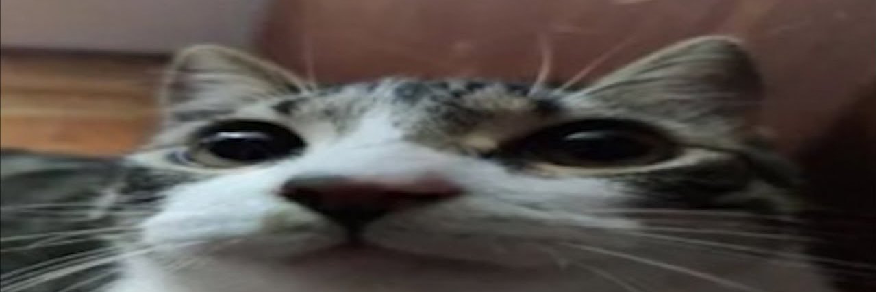 adrianatherobot's profile banner image