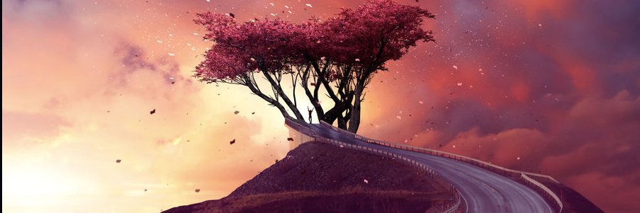 Martinsillo de Oz banner