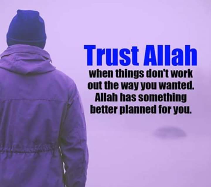 Waheeda_4's profile banner image