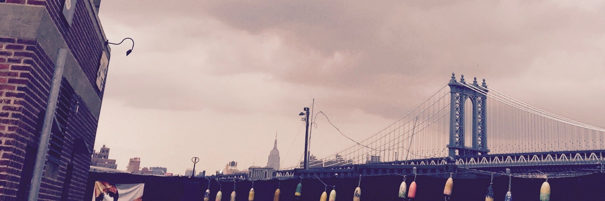 Kirsten Cluthe banner