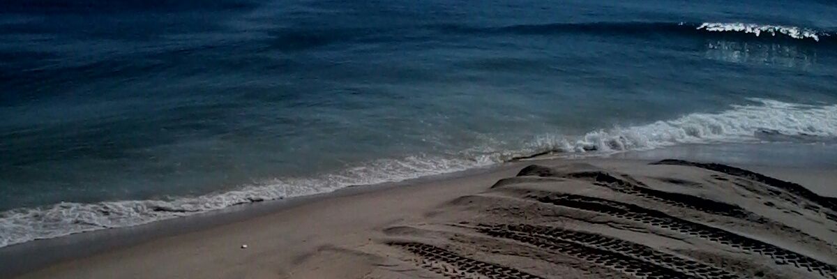 amaa00's profile banner image