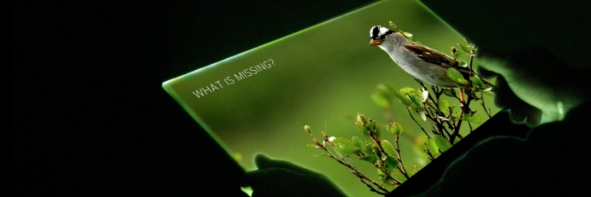 What Is Missing? banner