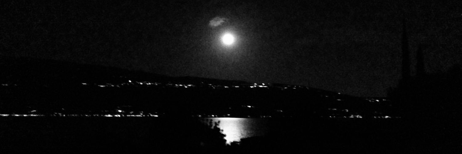 Constantin M. Gall banner